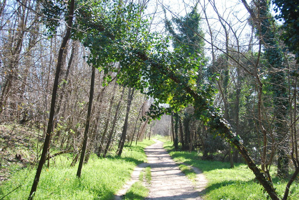 B&B Percorso Verde Ponte Valleceppi Екстер'єр фото